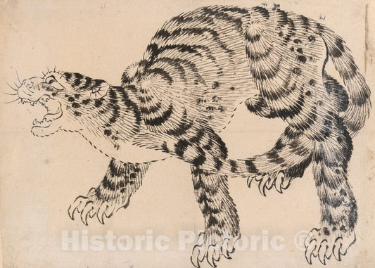 Art Print : Hokusai School - Tiger : Vintage Wall Art