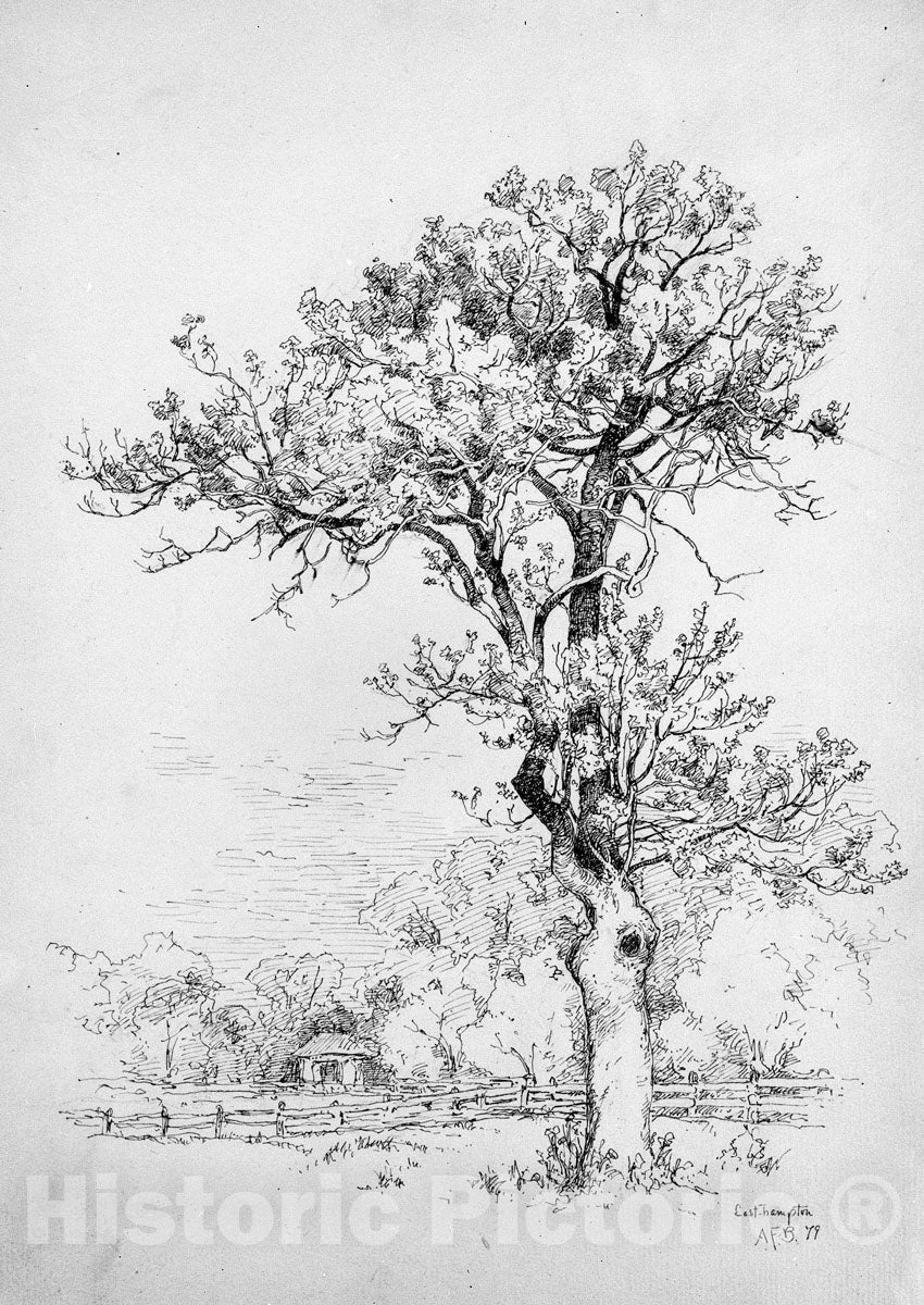 Art Print : Andrew Fisher Bunner - East Hampton, Long Island : Vintage Wall Art