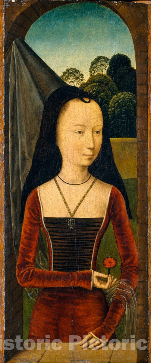 Art Print : Attributed to Hans Memling - Young Woman with a Pink : Vintage Wall Art