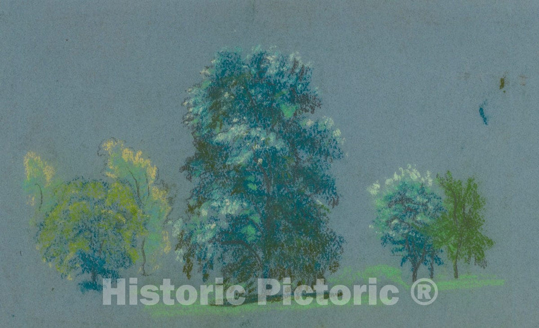 Art Print : Arthur B. Davies - Tree Study : Vintage Wall Art