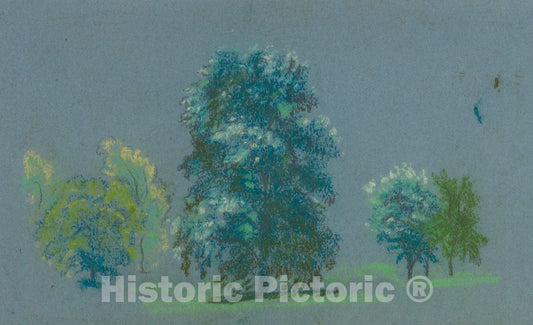 Art Print : Arthur B. Davies - Tree Study : Vintage Wall Art