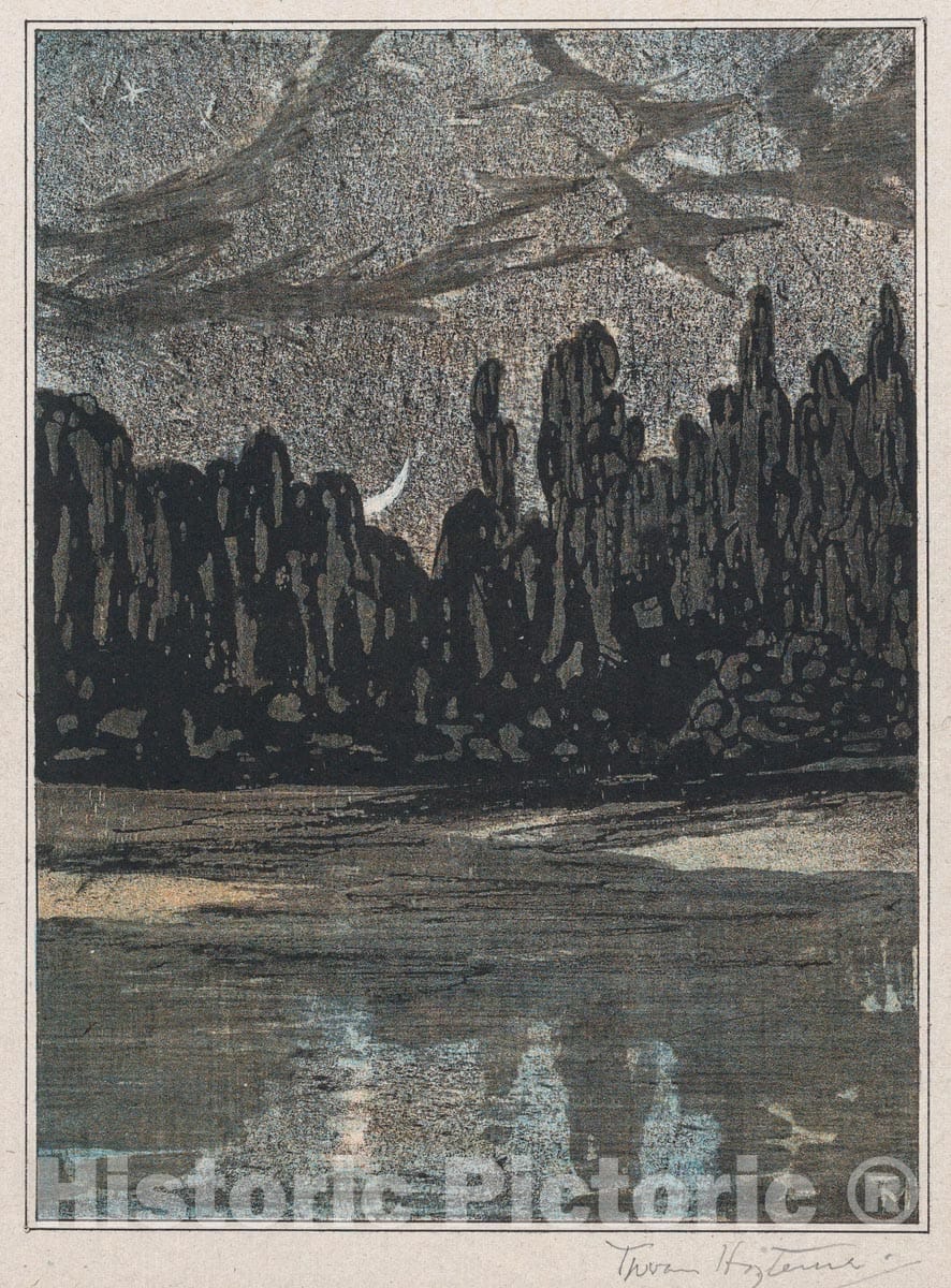 Art Print : Theodorus van Hoytema - Migratory Birds on a Moonlit Night : Vintage Wall Art