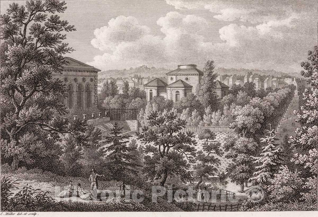 Art Print : Henri-Charles Müller - Vues et description du jardin des plantes : Vintage Wall Art