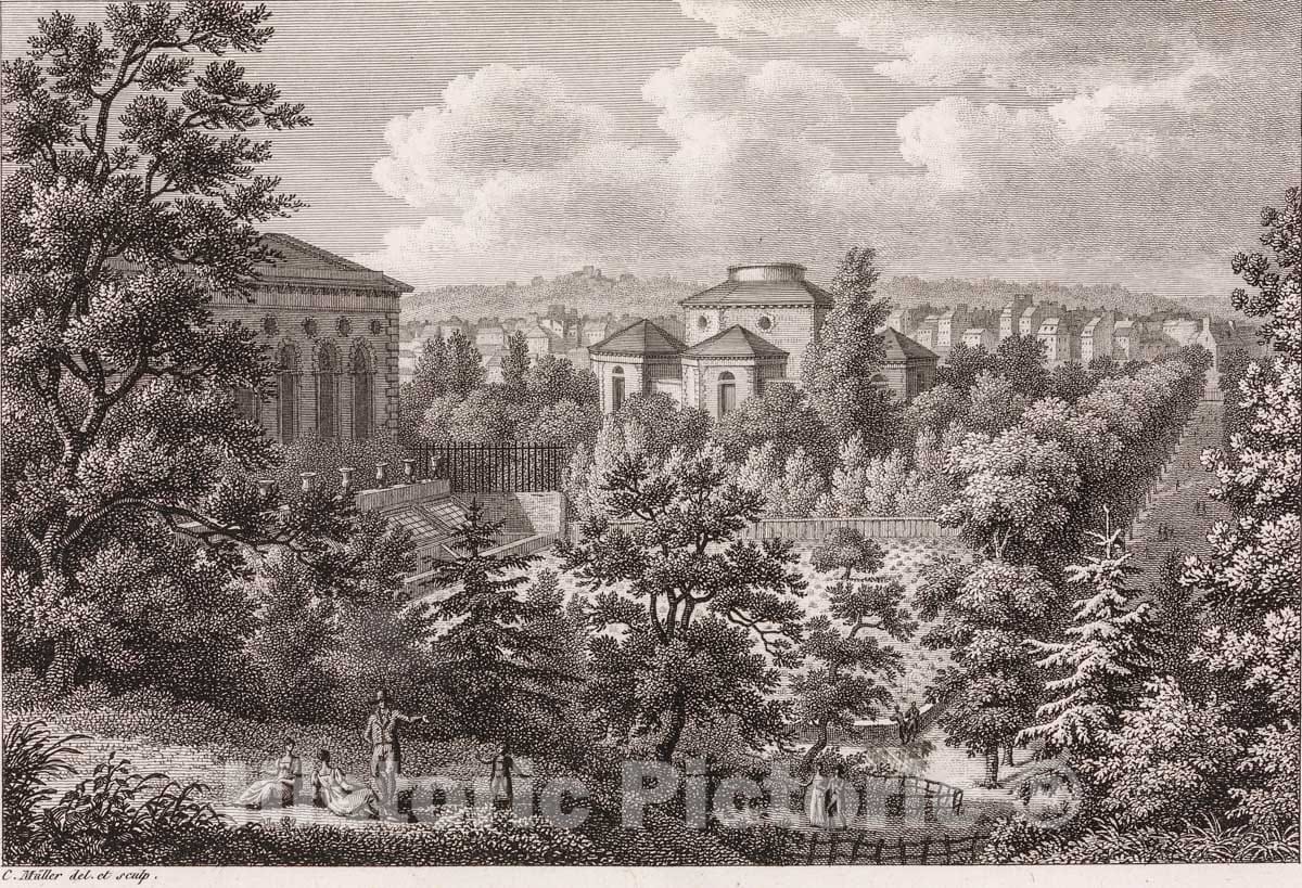 Art Print : Henri-Charles Müller - Vues et description du jardin des plantes : Vintage Wall Art