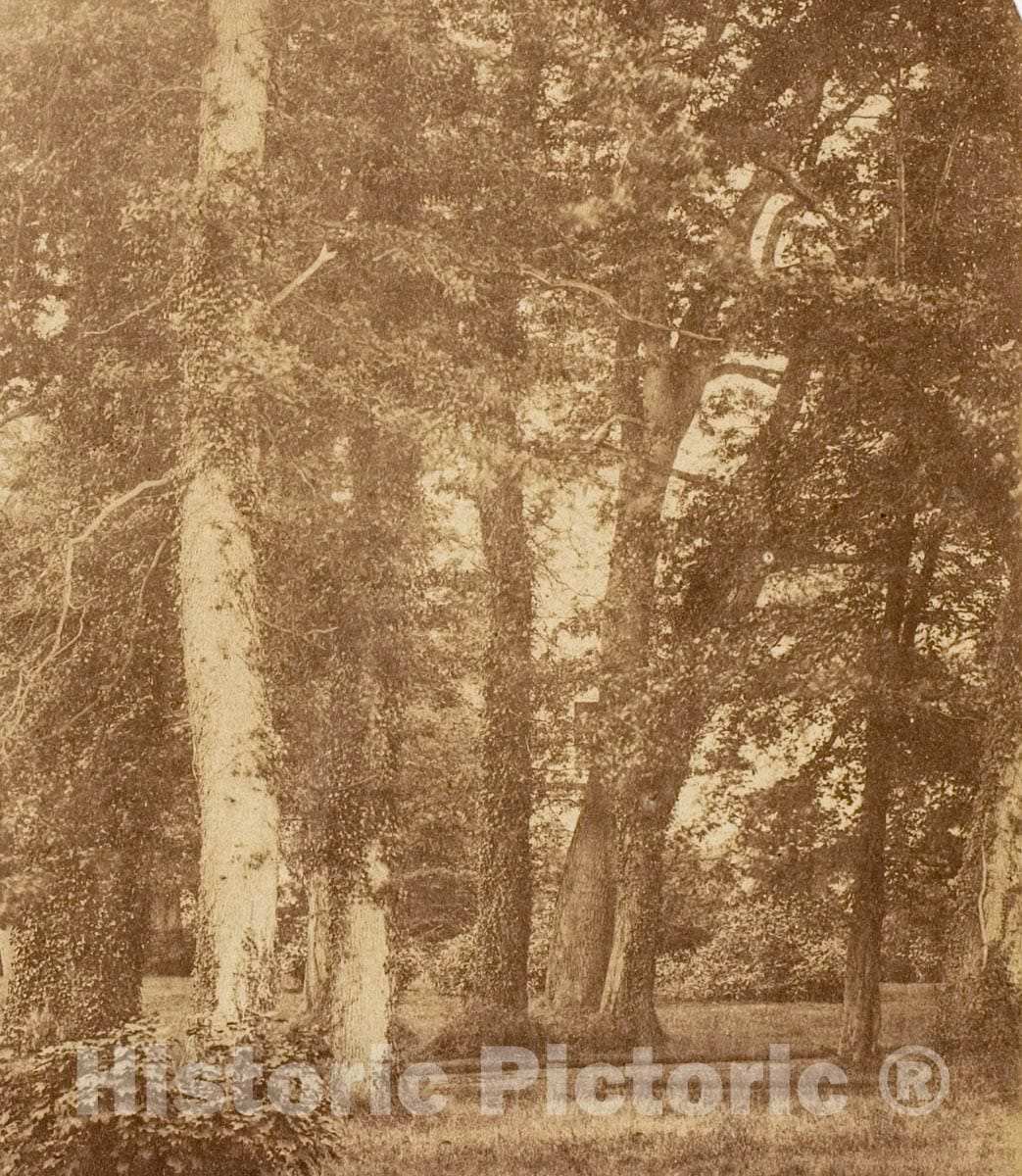Photo Print : James Knight - Penllengare  v.2 : Vintage Wall Art