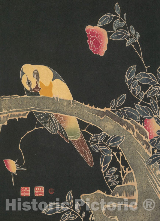 Art Print : It? Jakuch? - Parrot on the Branch of a Flowering Rose Bush : Vintage Wall Art