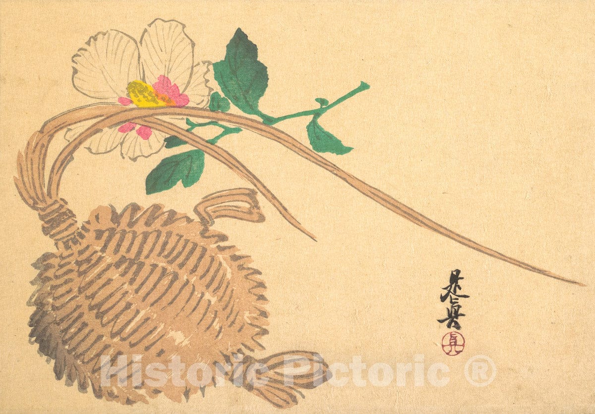 Art Print : Shibata Zeshin - Straw Basket for Fish (?) and Mokuge Flower : Vintage Wall Art