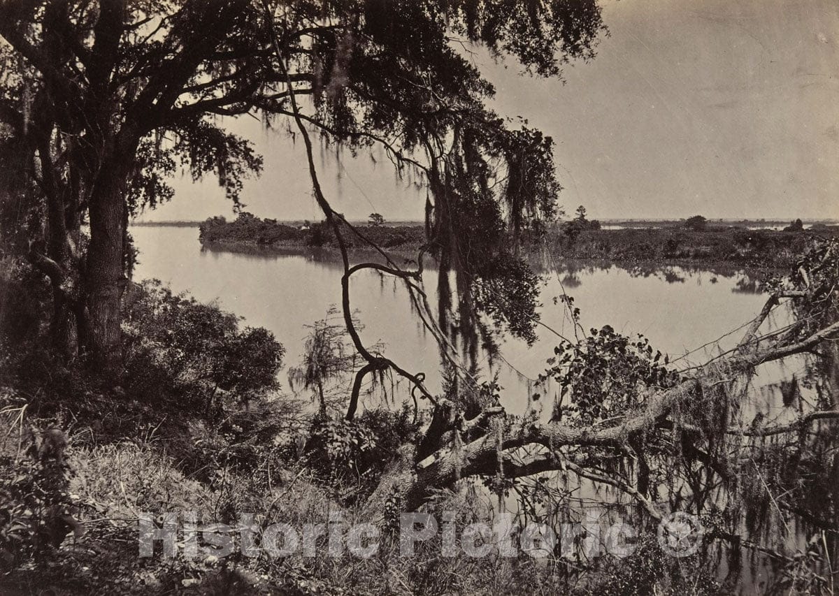 Photo Print : George N. Barnard - Savanah River, Near Savanah, Georgia : Vintage Wall Art