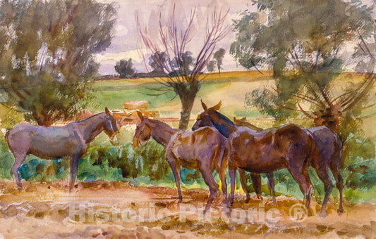 Art Print : John Singer Sargent - Mules : Vintage Wall Art