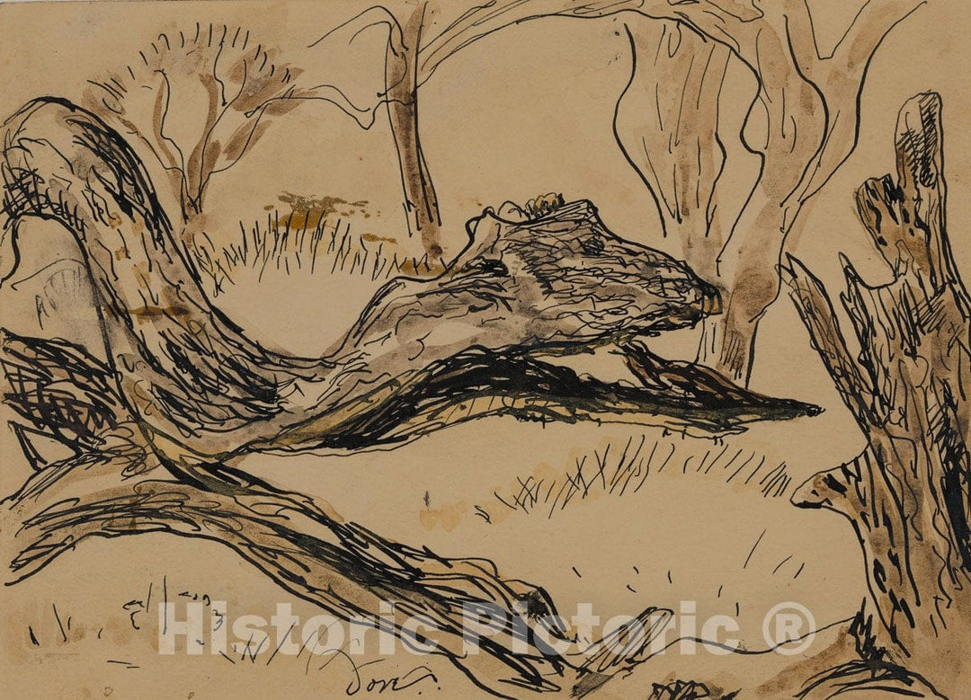 Art Print : Arthur Dove - Tree II : Vintage Wall Art