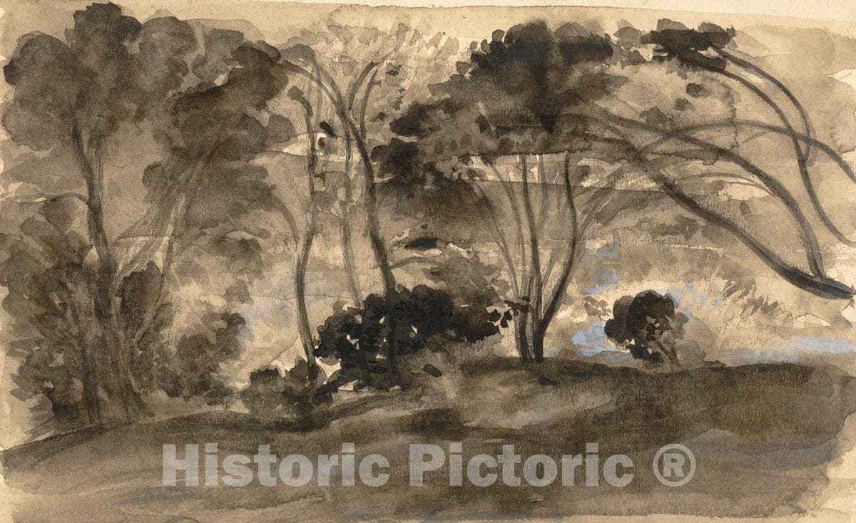 Art Print : Arthur B. Davies - Landscape: Black Trees II : Vintage Wall Art