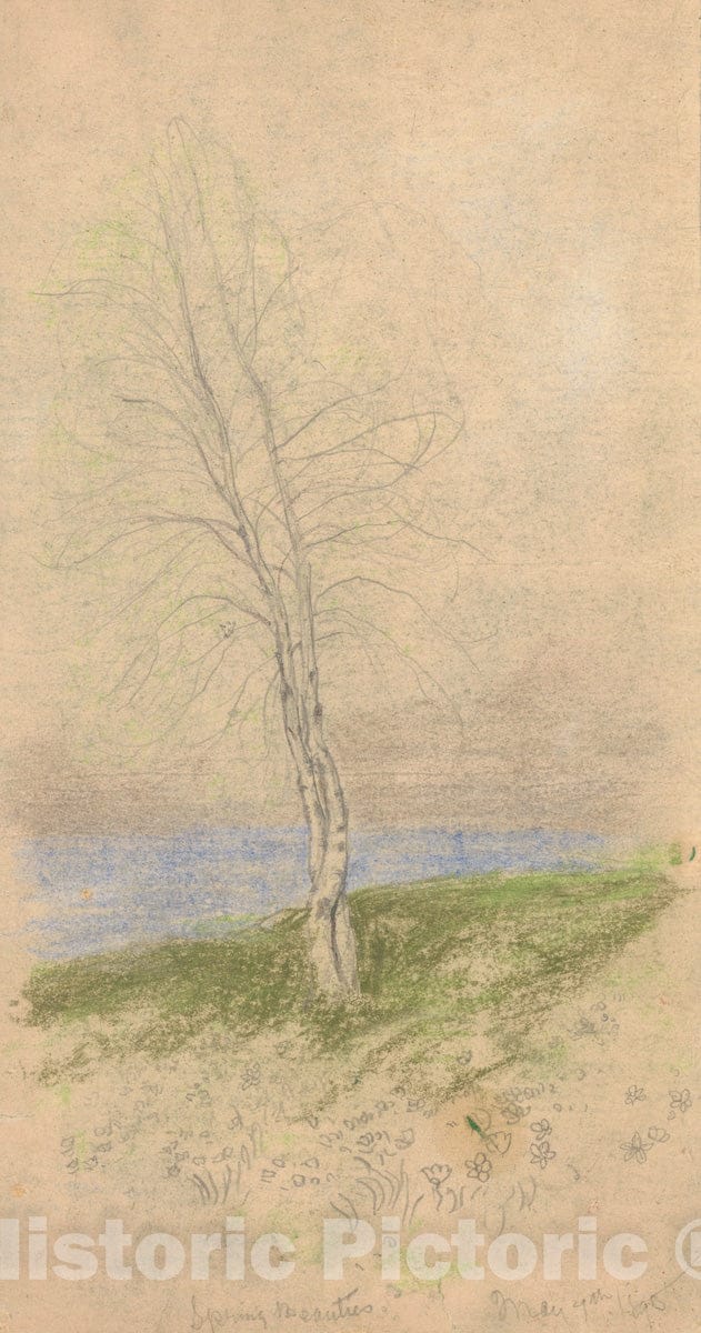 Art Print : Arthur B. Davies - Spring Beauties : Vintage Wall Art