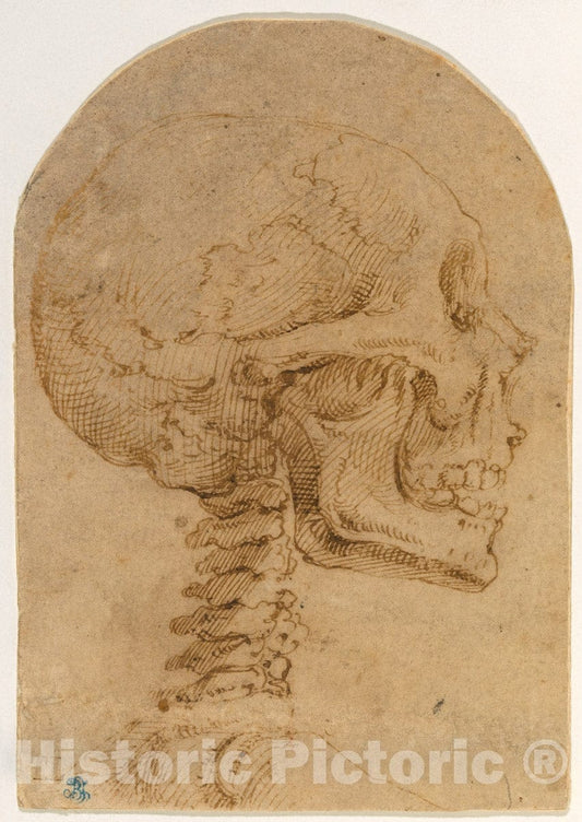 Art Print : Battista Franco - Skull in Profile : Vintage Wall Art