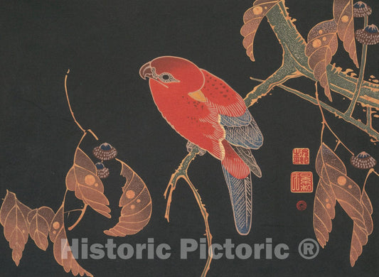 Art Print : It? Jakuch? - Red Parrot on the Branch of a Tree : Vintage Wall Art