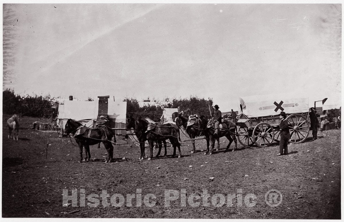 Photo Print : Timothy H. O'sullivan - The Crack Team of The 1st Division, 6th Corps Near Hazel River, Virginia : Vintage Wall Art