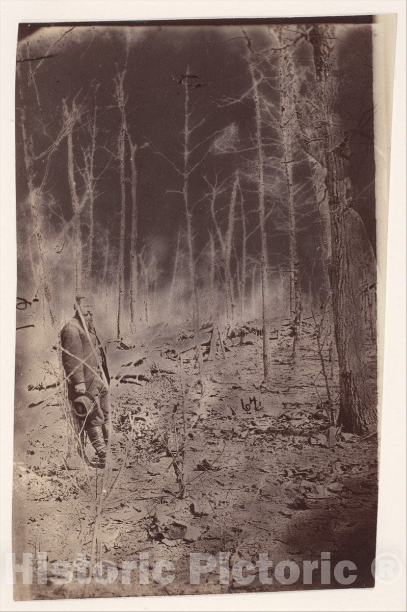 Photo Print : The Wilderness Battlefield, Near Spotsylvania, Virginia 2 : Vintage Wall Art