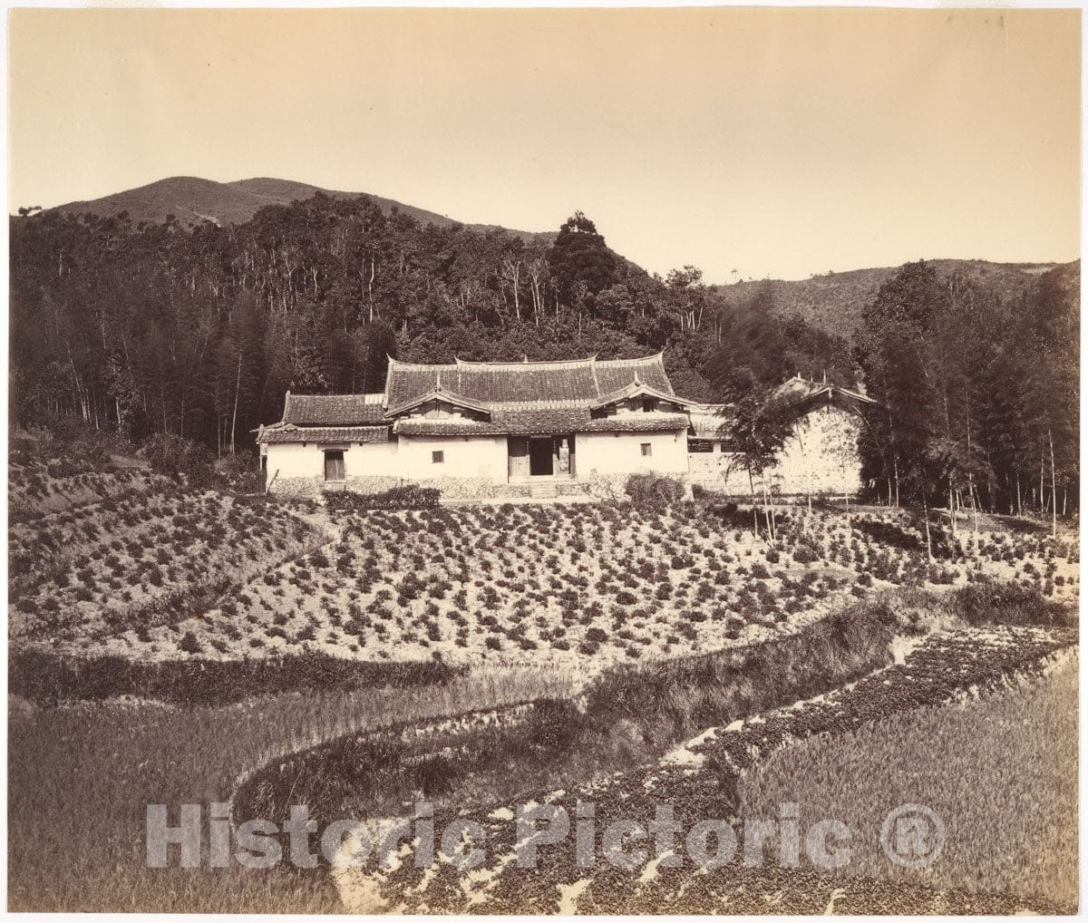 Photo Print : Tung Hing - Teafield & Josshouse at Peling : Vintage Wall Art
