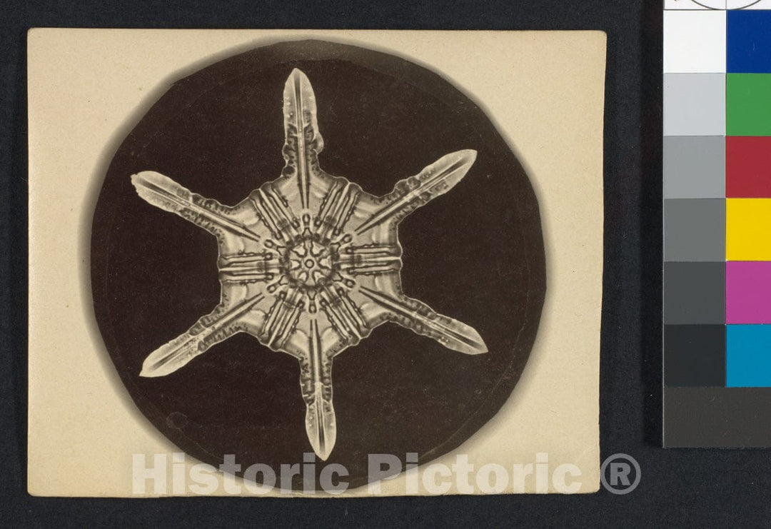 Photo Print : Wilson Alwyn Bentley - Snow Crystal 1 : Vintage Wall Art