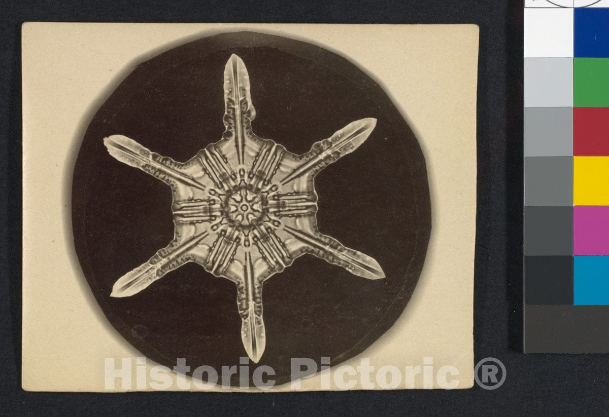Photo Print : Wilson Alwyn Bentley - Snow Crystal 1 : Vintage Wall Art