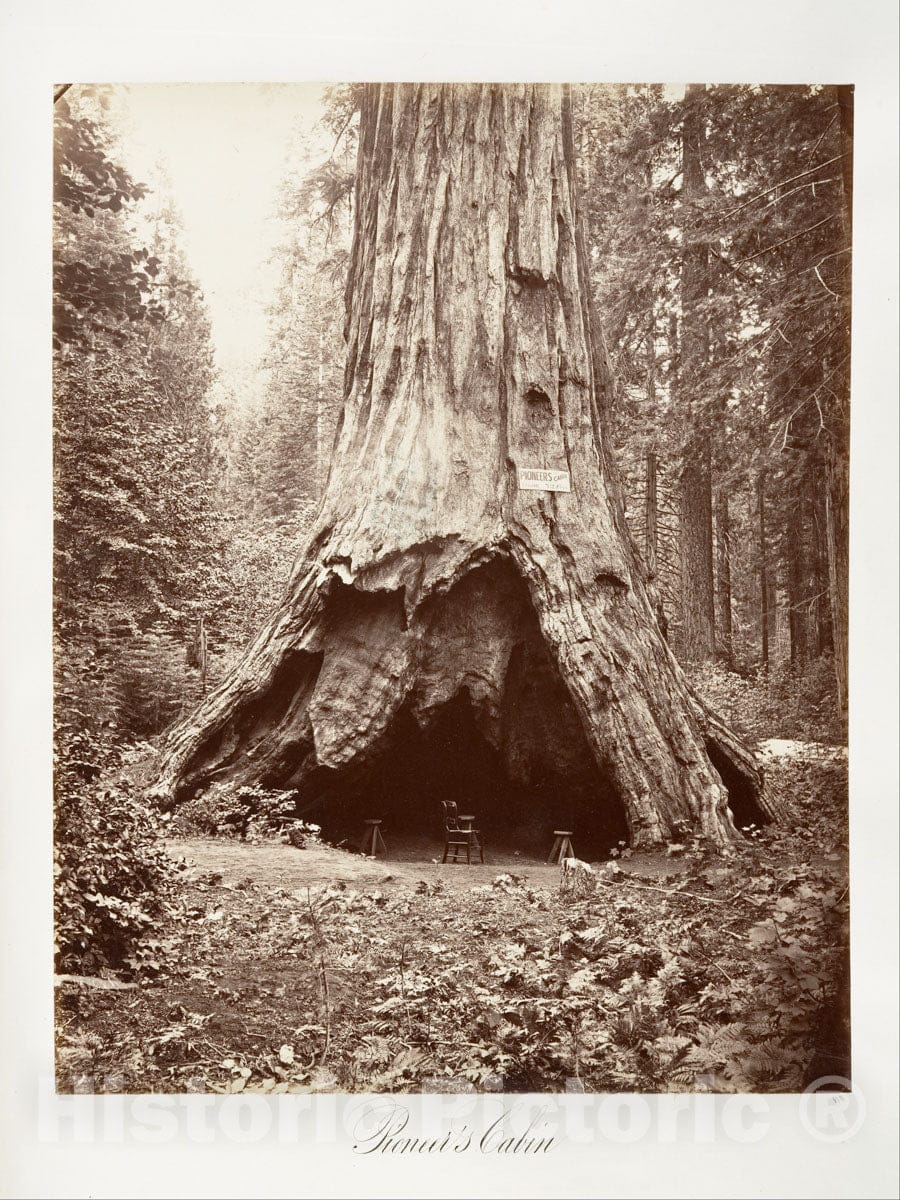 Photo Print : Carleton E. Watkins - Pioneer's Cabin : Vintage Wall Art
