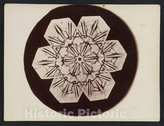 Photo Print : Wilson Alwyn Bentley - Snow Crystal 14 : Vintage Wall Art