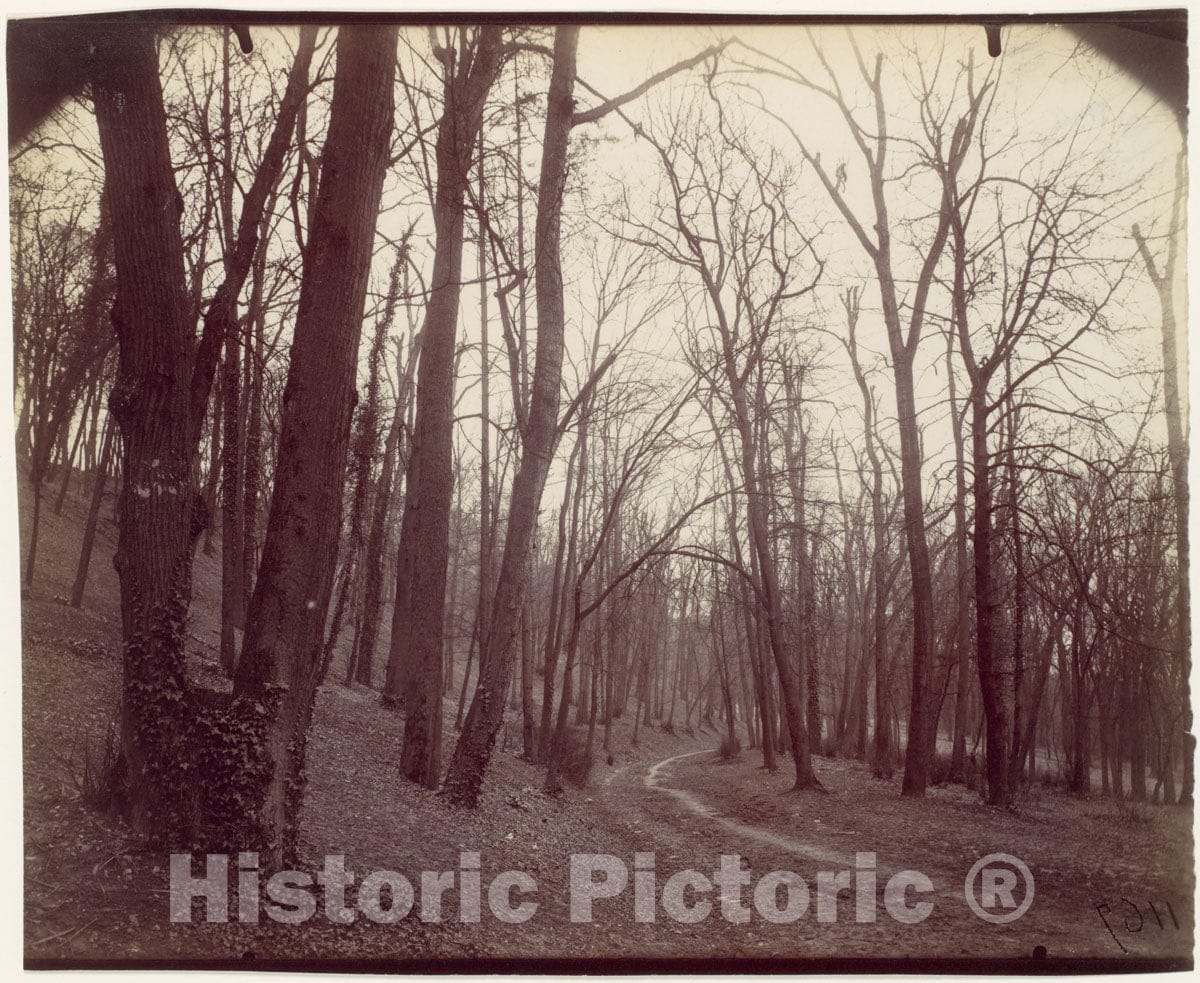 Photo Print : Eugène Atget - St. Cloud Near Paris : Vintage Wall Art