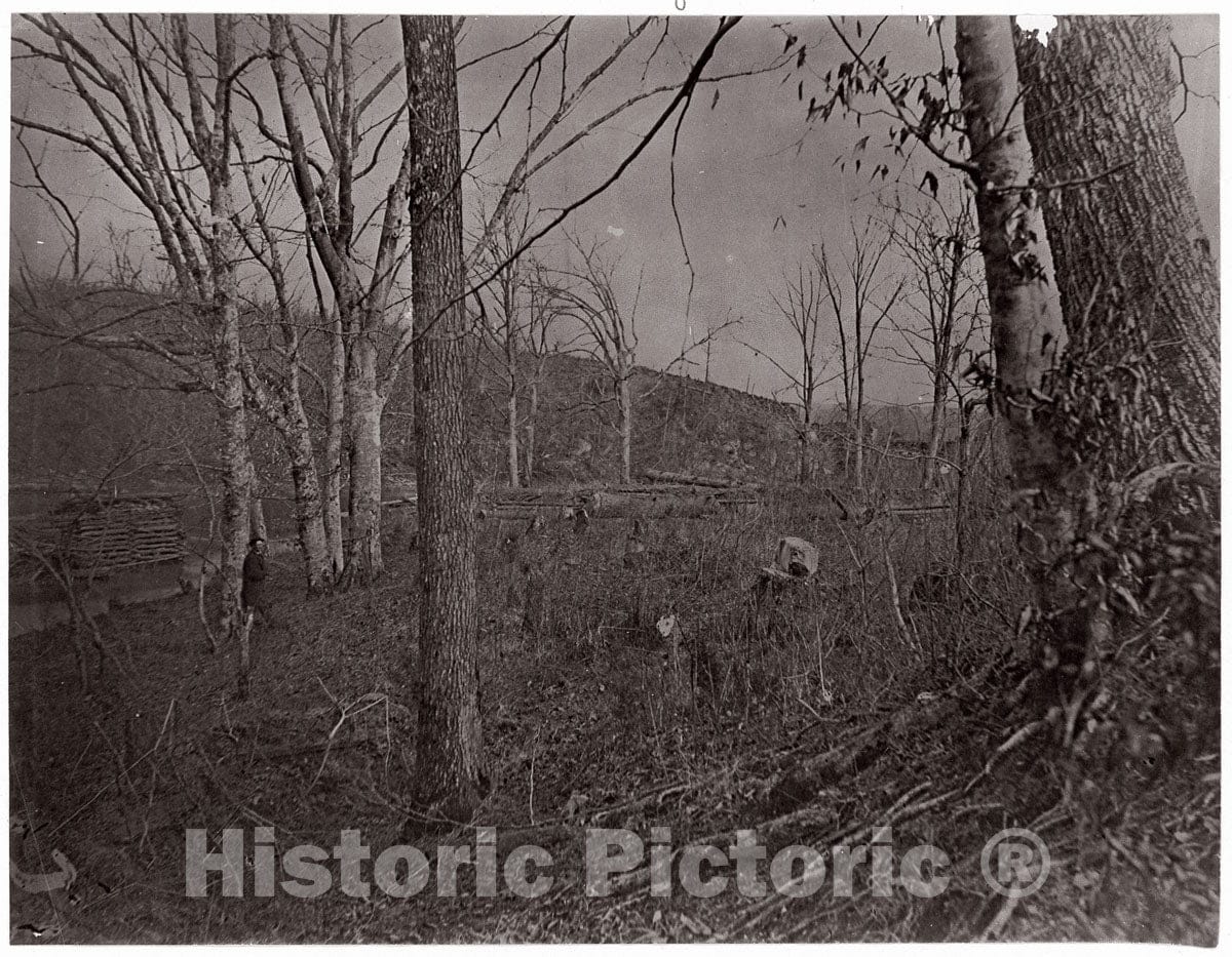 Photo Print : George N. Barnard - Bull Run, Virginia : Vintage Wall Art