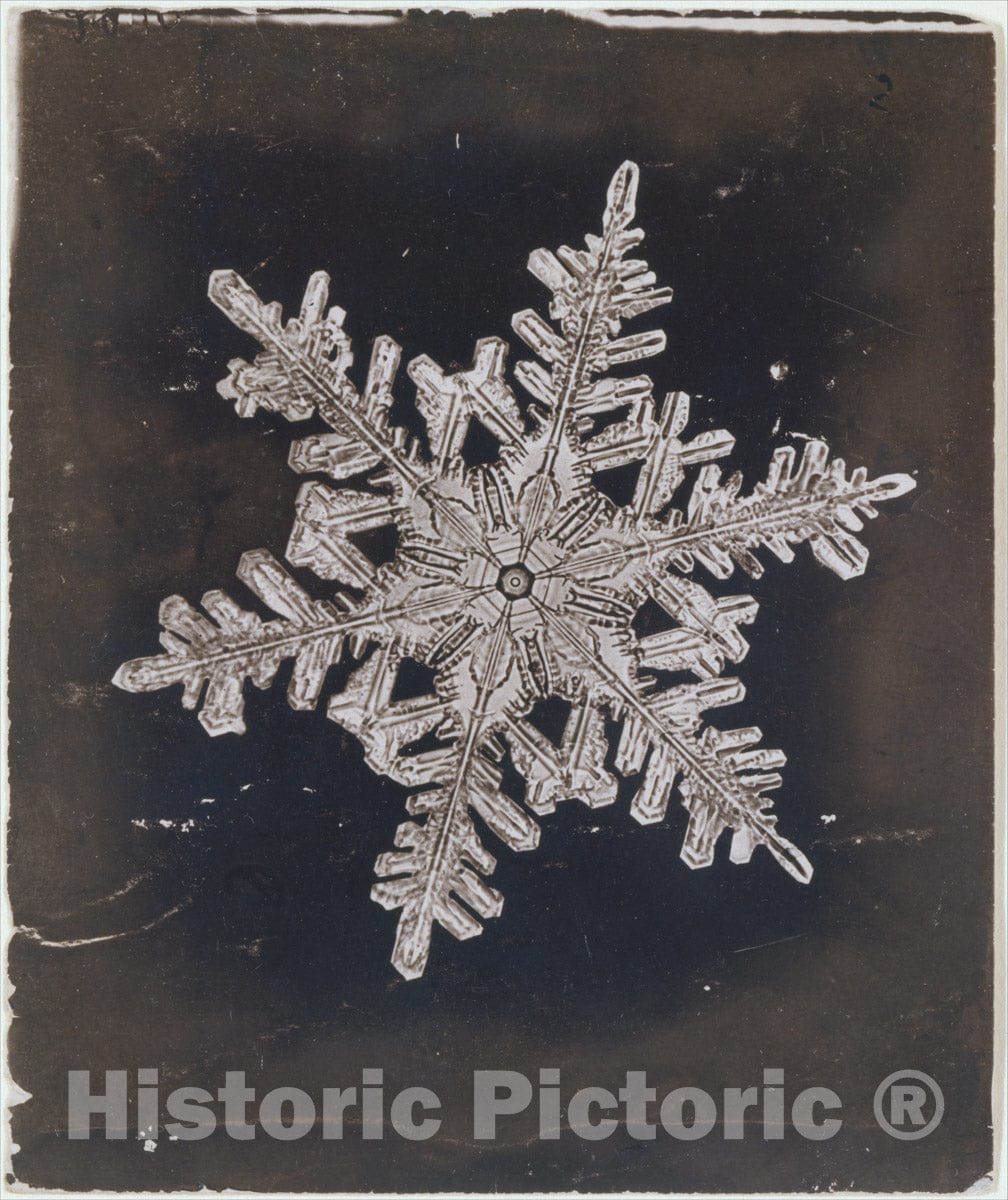 Photo Print : Wilson Alwyn Bentley - Snow Crystal 15 : Vintage Wall Art