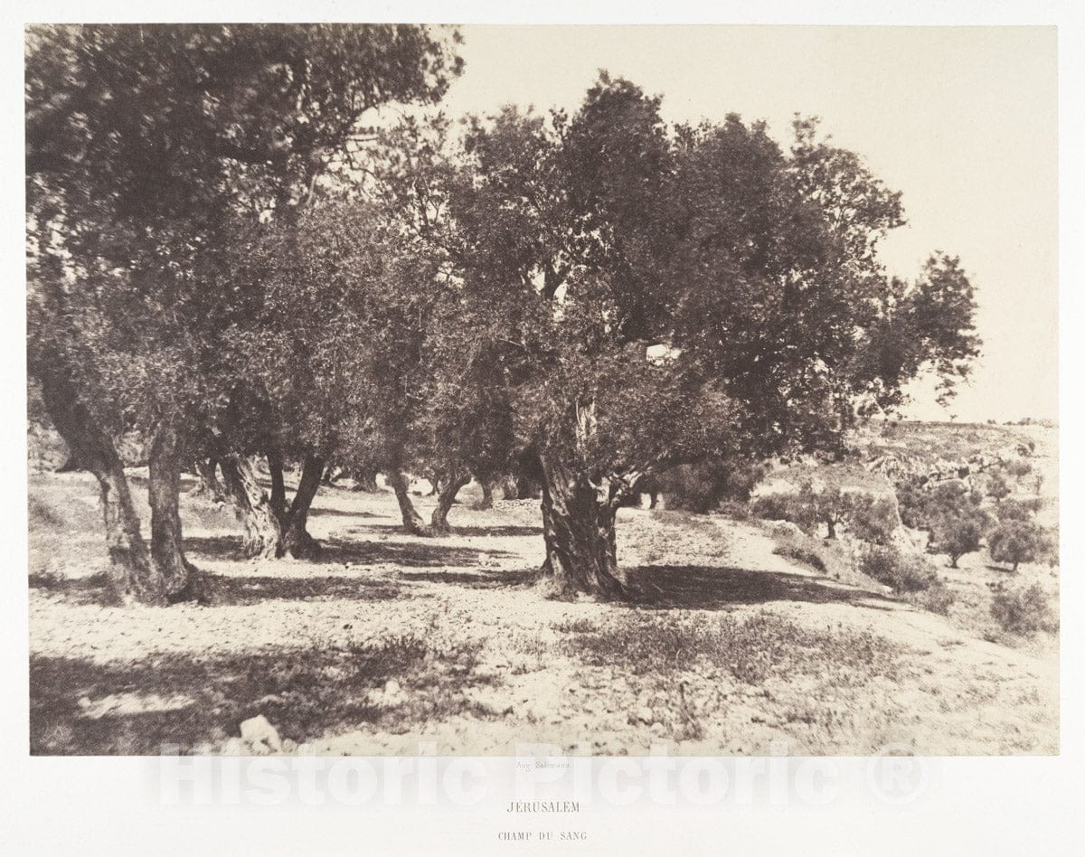 Photo Print : Auguste Salzmann - Jérusalem, Champ du sang : Vintage Wall Art