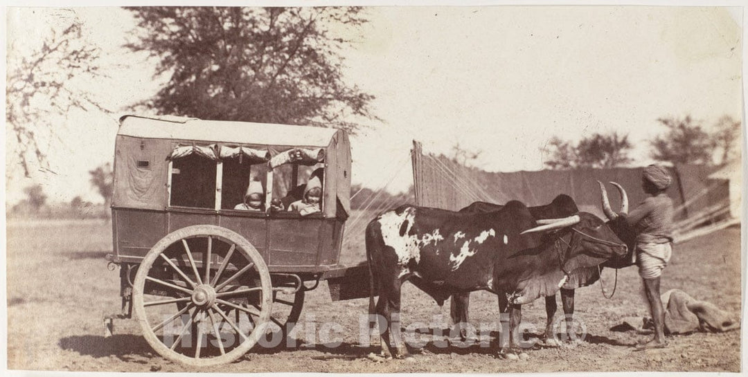Photo Print : Jean Baptiste Oscar Mallitte - Campbell Twins in a Shigram, Governor General's Camp : Vintage Wall Art