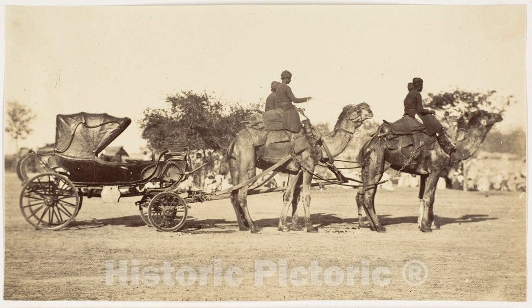 Photo Print : A Travelling Camel Carriage from Lahore to Peshawar, Governor General's Camp : Vintage Wall Art