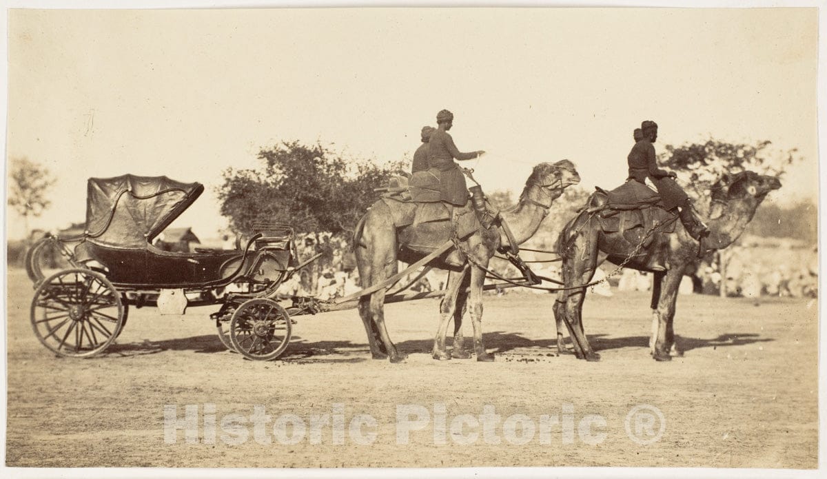 Photo Print : A Travelling Camel Carriage from Lahore to Peshawar, Governor General's Camp : Vintage Wall Art