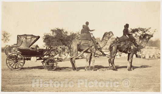 Photo Print : A Travelling Camel Carriage from Lahore to Peshawar, Governor General's Camp : Vintage Wall Art