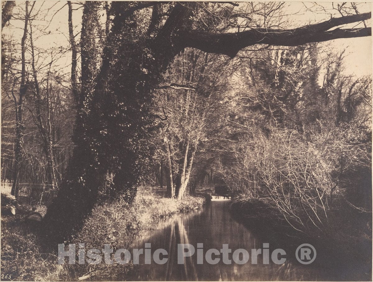 Photo Print : Eugène Cuvelier - PARC de Courances : Vintage Wall Art