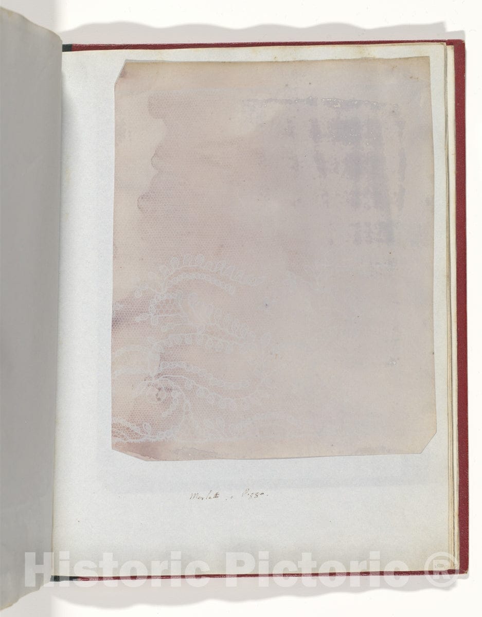 Photo Print : William Henry Fox Talbot - Merletto o Pizzo : Vintage Wall Art