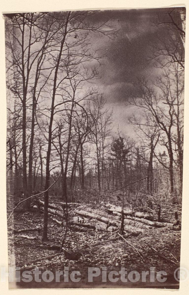 Photo Print : The Wilderness Battlefield - 407338 : Vintage Wall Art
