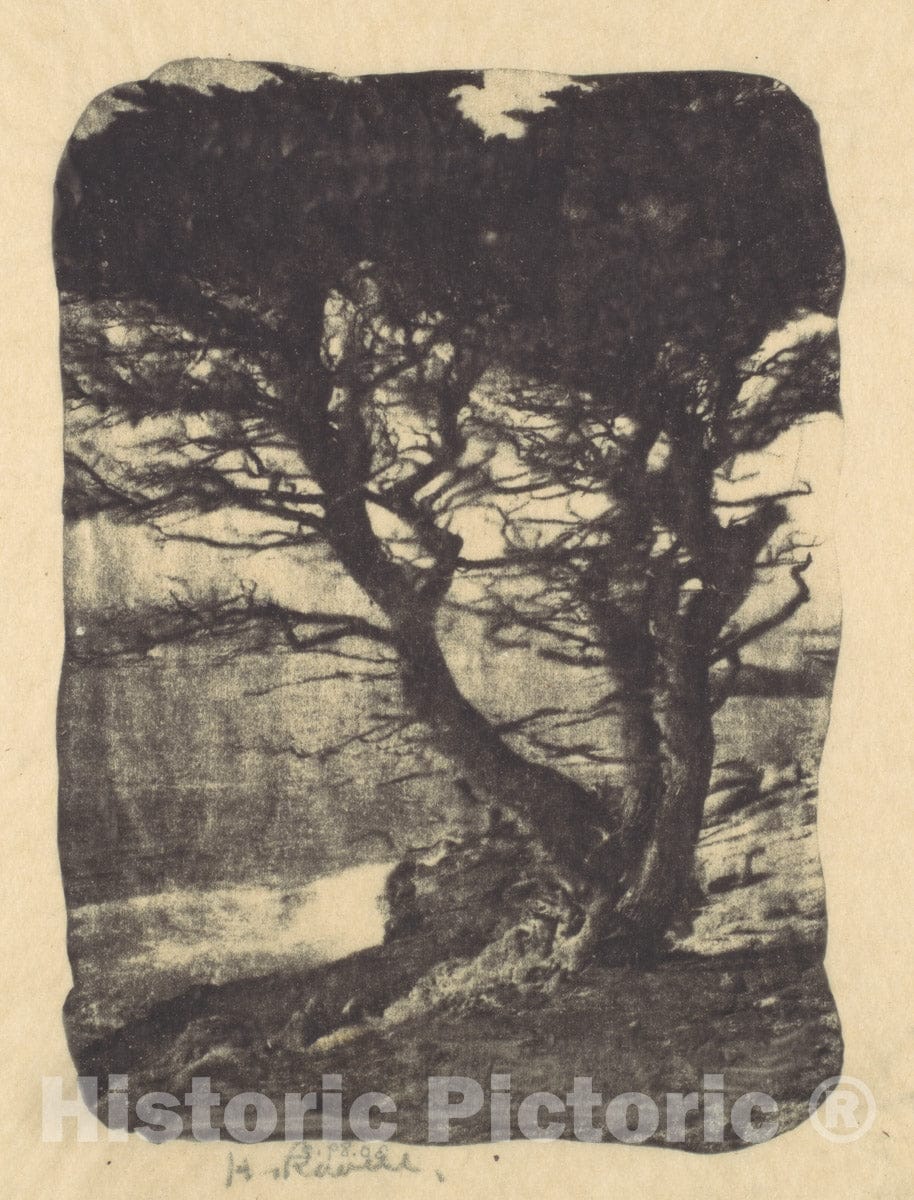 Photo Print : Henry Ravell - Cypress, Pebble Beach, California - 407346 : Vintage Wall Art