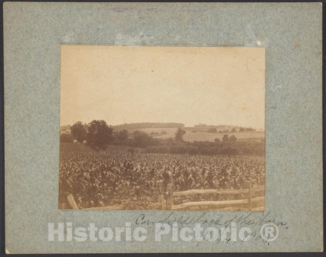 Photo Print : Thomas Eakins - Cornfield in Back of The Barn : Vintage Wall Art