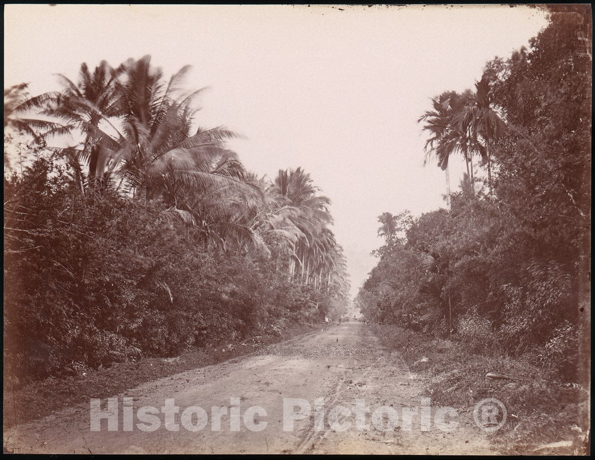 Photo Print : Road Near Singapore : Vintage Wall Art