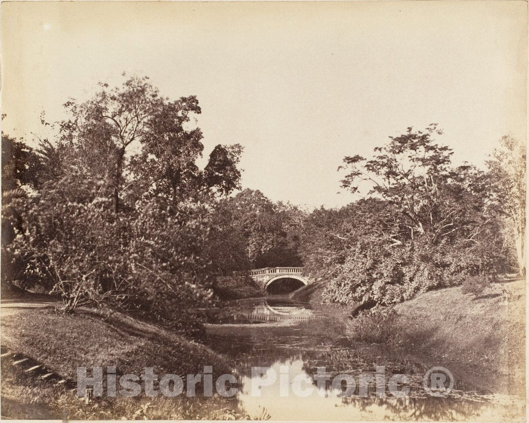 Photo Print : Captain R. B. Hill - Botanical Gardens, Calcutta 2 : Vintage Wall Art