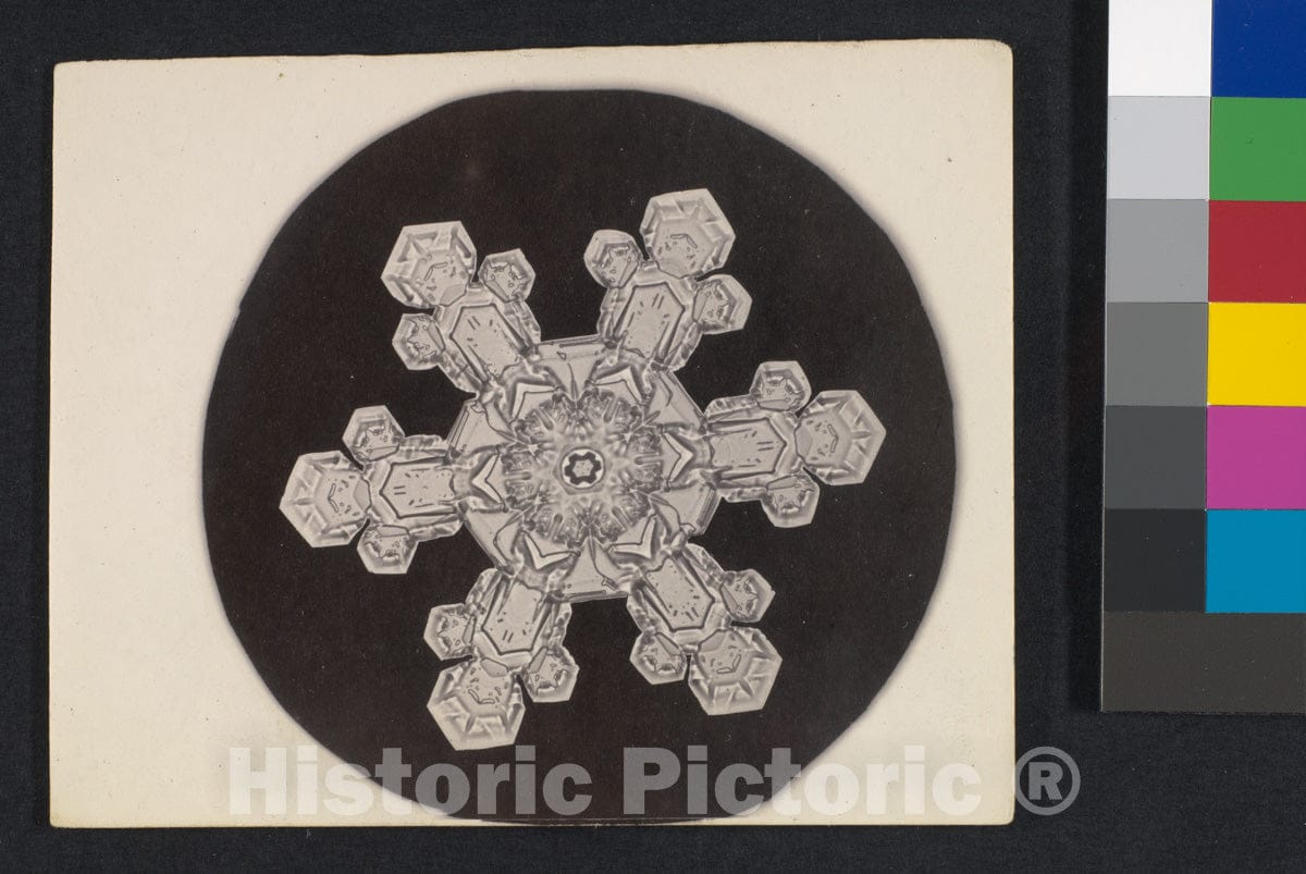 Photo Print : Wilson Alwyn Bentley - Snow Crystal 2 : Vintage Wall Art