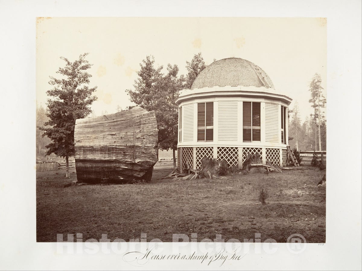Photo Print : Carleton E. Watkins - The House Over a Stump of a Big Tree : Vintage Wall Art