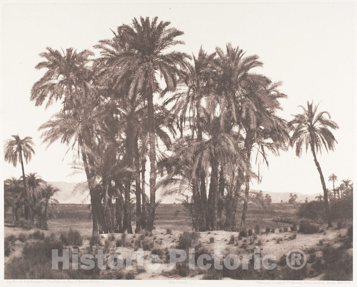 Photo Print : Félix Teynard - Karnak, Groupe de Dattiers Vu du Point A : Vintage Wall Art