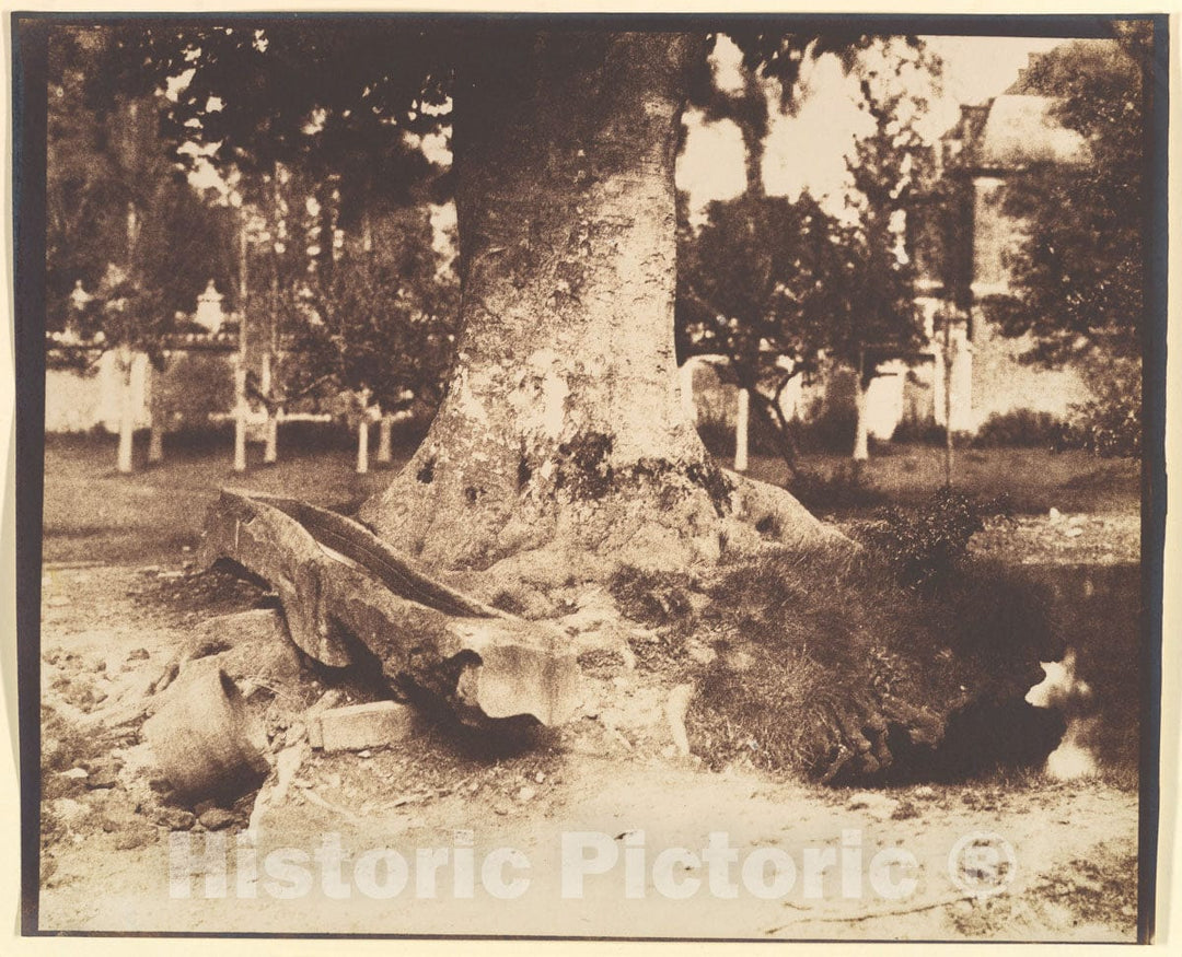 Photo Print : Louis-Rémy Robert - The Large Tree at La Verrerie, Romesnil : Vintage Wall Art