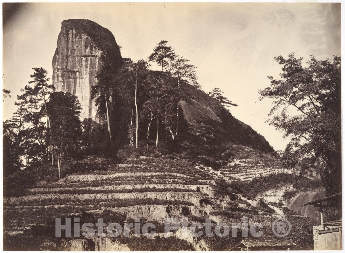 Photo Print : John Thomson - Mountain and Rice Fields : Vintage Wall Art