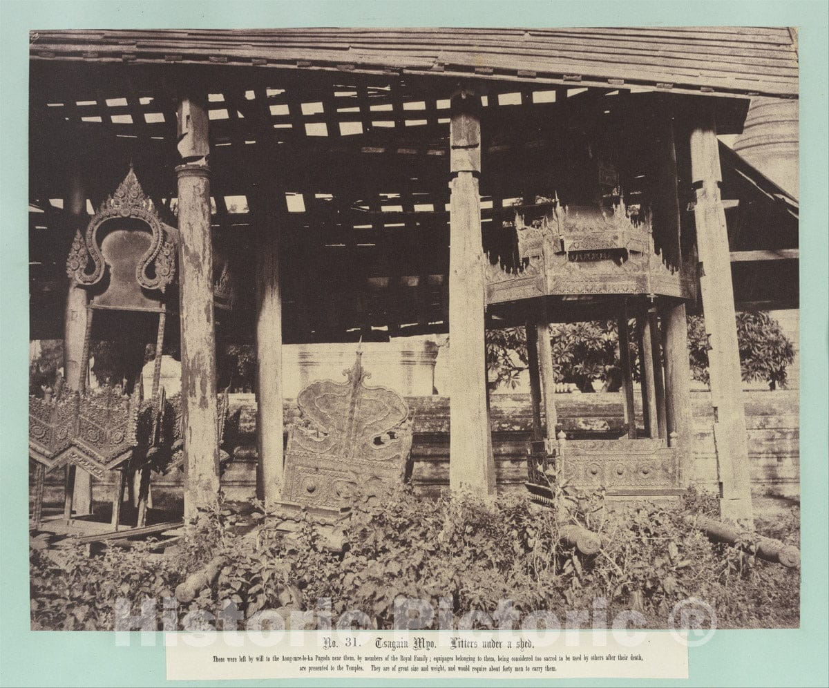 Photo Print : Linnaeus Tripe - Tsagain Myo: Litters Under a shed. : Vintage Wall Art