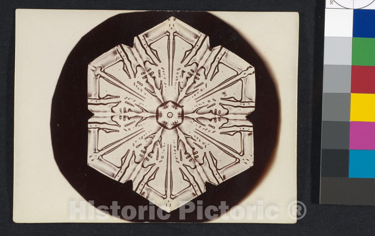 Photo Print : Wilson Alwyn Bentley - Snow Crystal - 407493 : Vintage Wall Art