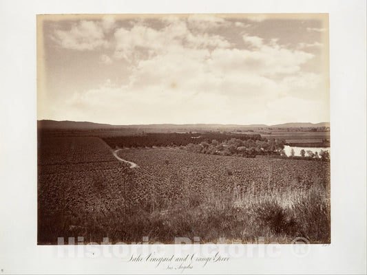 Photo Print : Carleton E. Watkins - Lake Vineyard and Orange Grove, Los Angeles : Vintage Wall Art