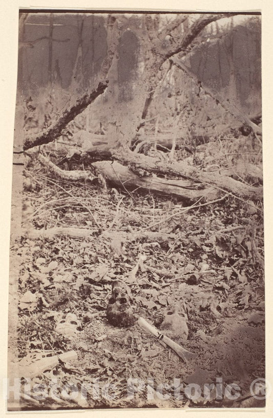 Photo Print : The Wilderness Battlefield, Near Spotsylvania, Virginia 1 : Vintage Wall Art