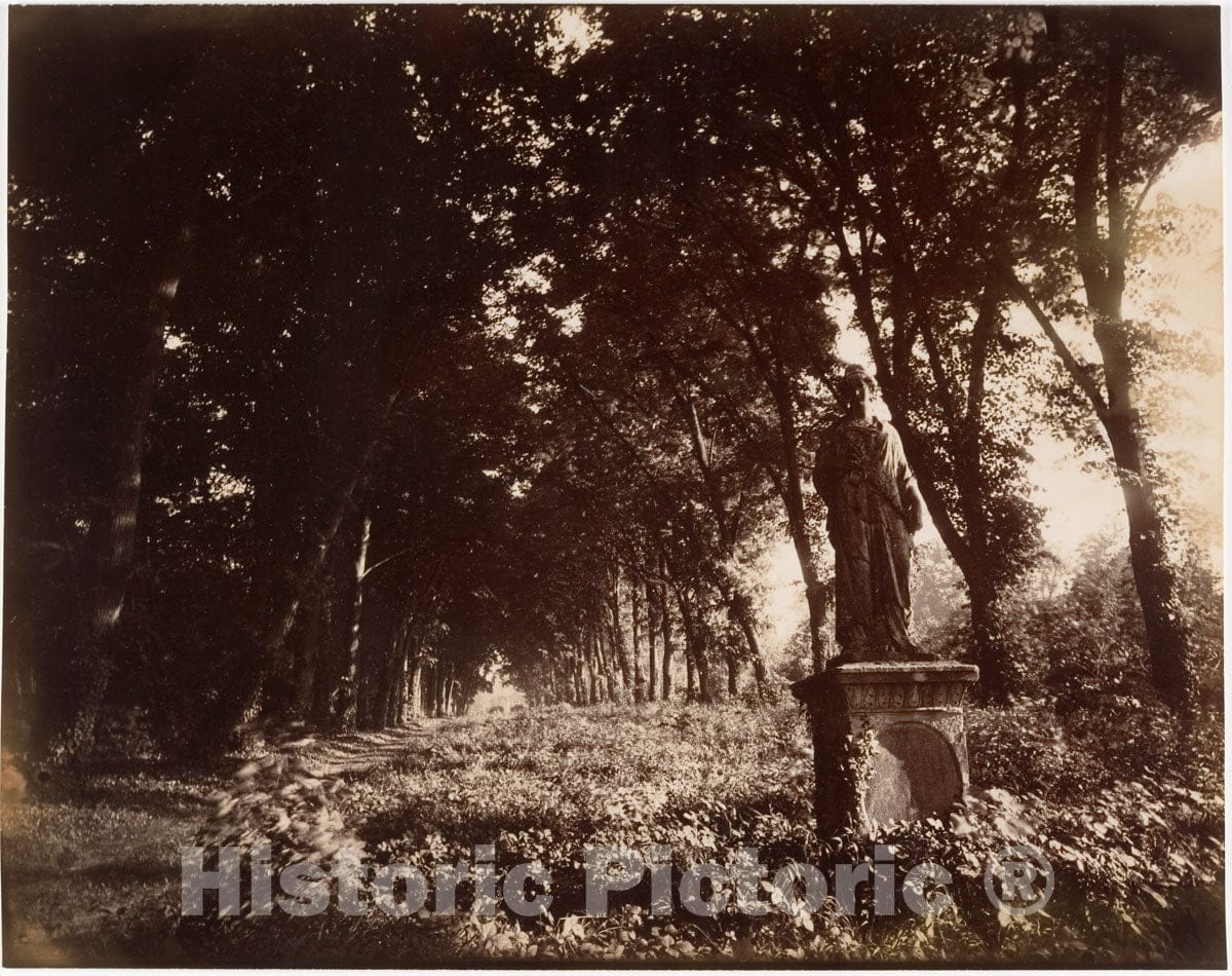 Photo Print : Eugène Atget - PARC de Sceaux : Vintage Wall Art